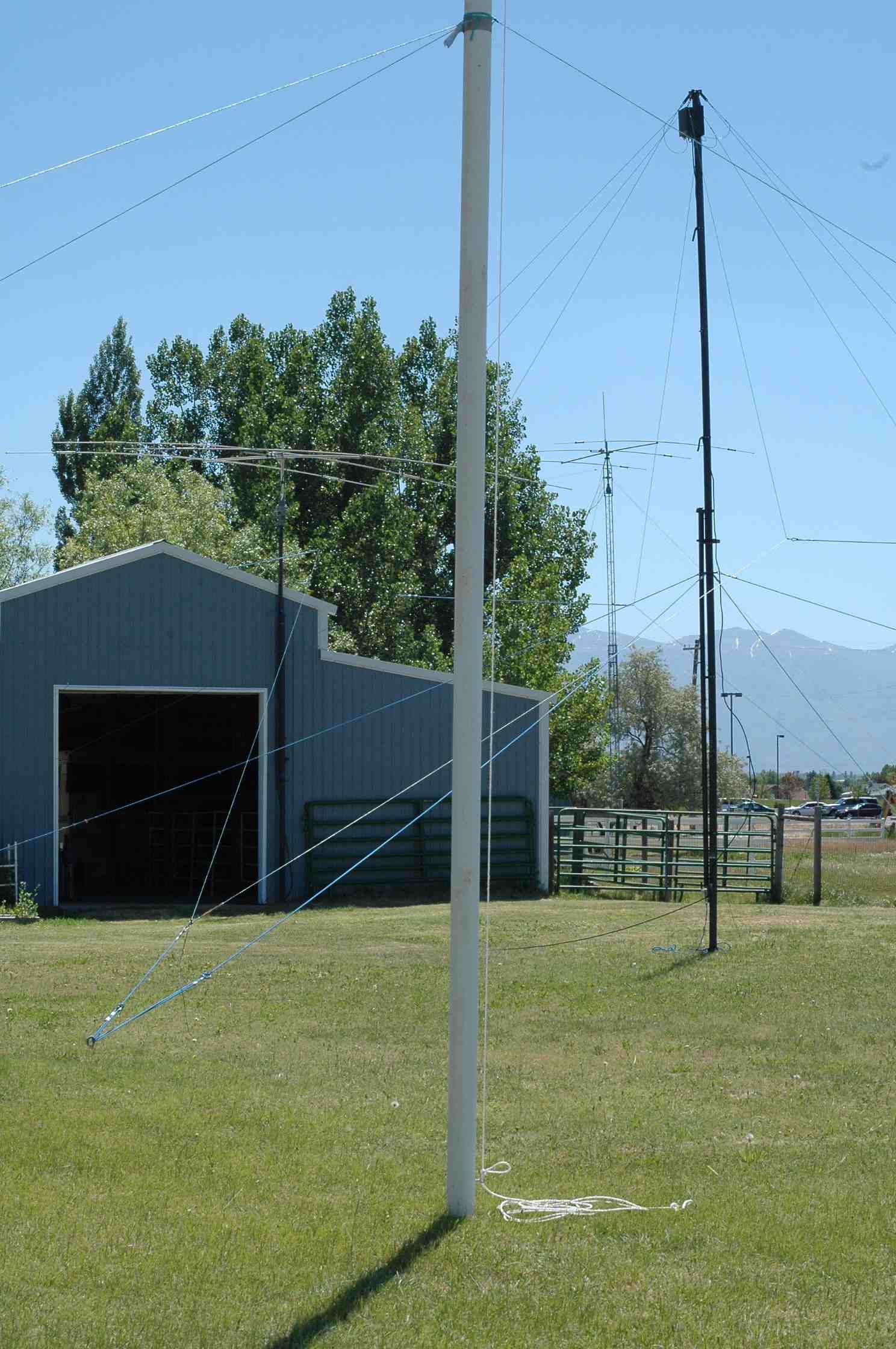 Field Day - Jun 2010 — photograph 29