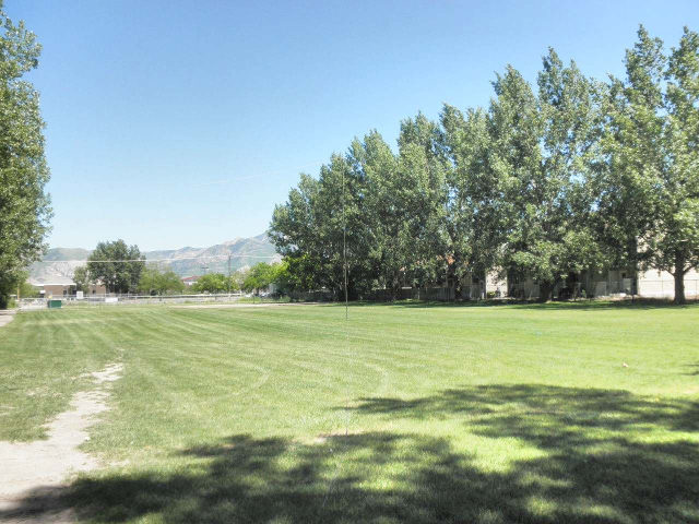 Field Day - Jun 2012 — photograph 6