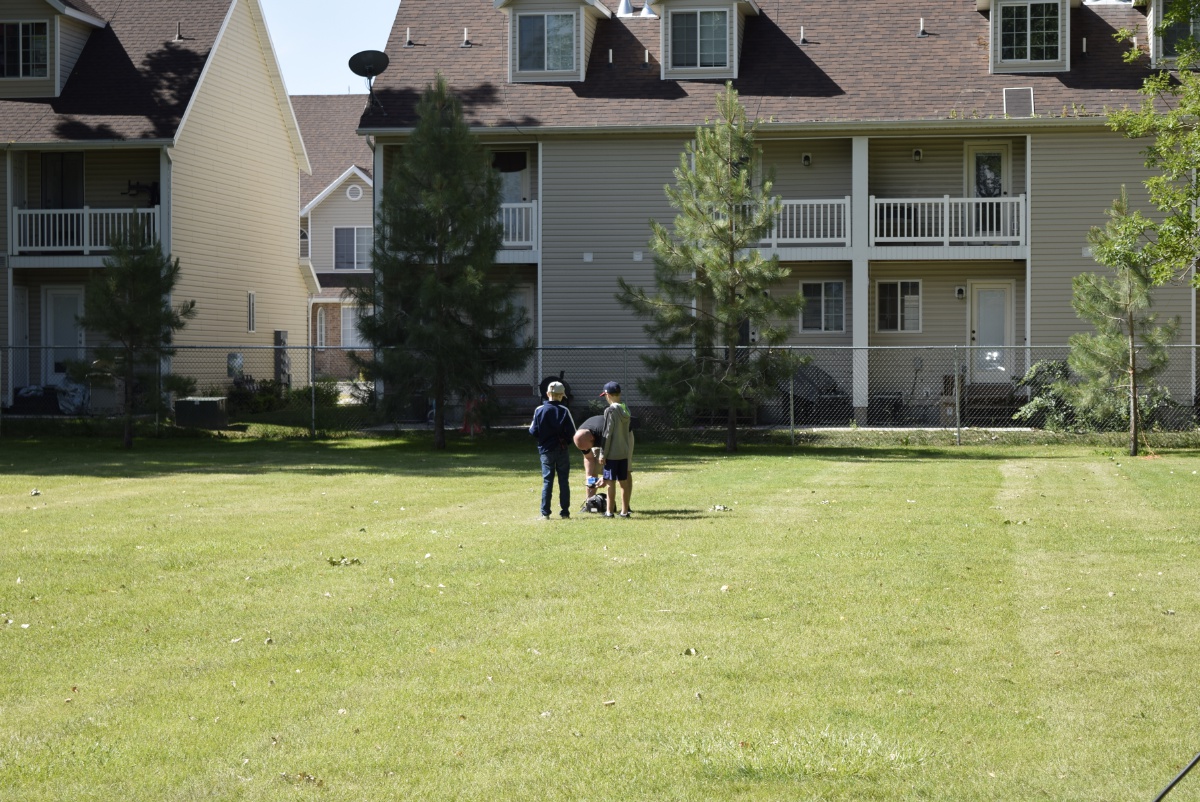 Field Day - June 2019 — photograph 28