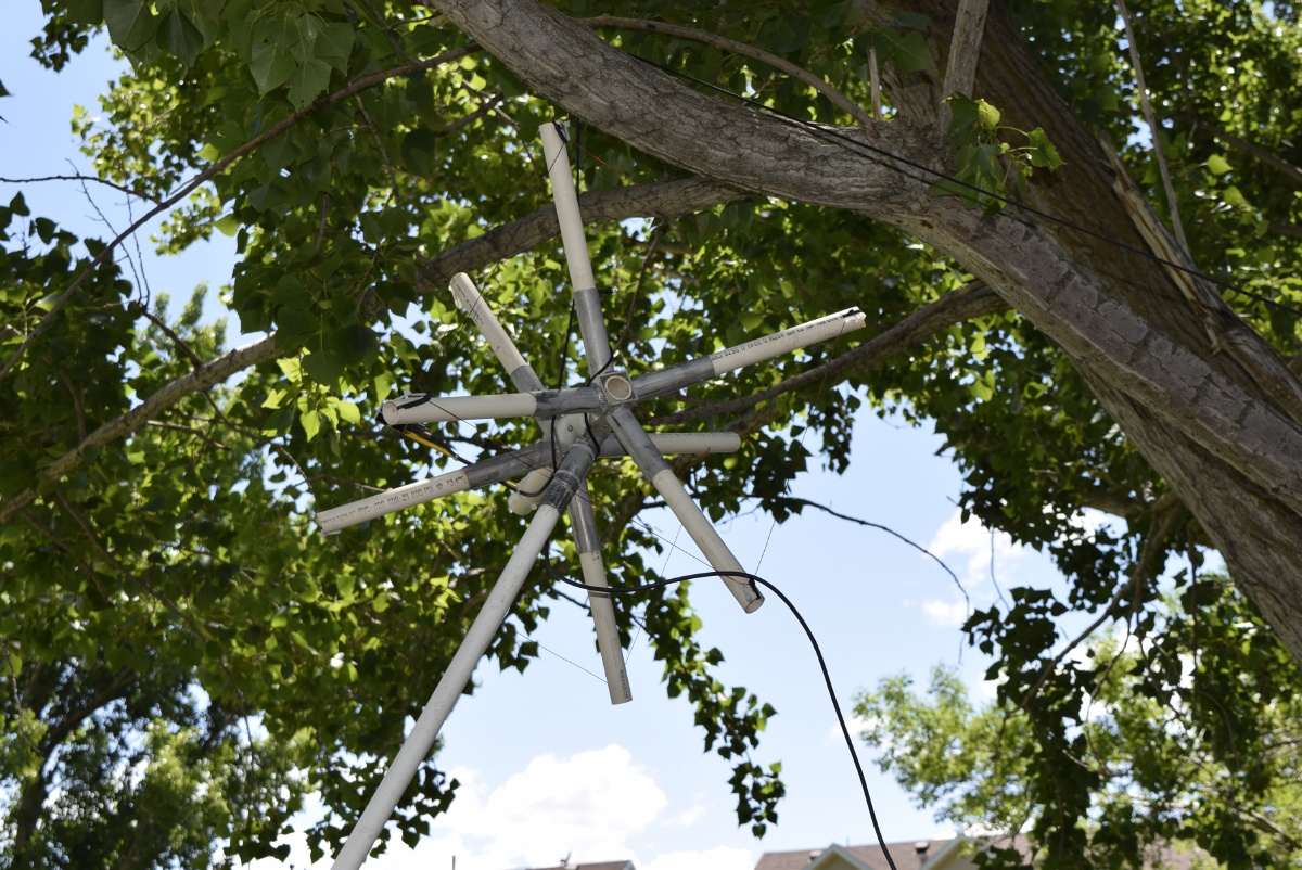 Field Day - June 2019 — photograph 34