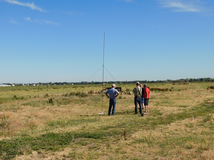 Field Day - June 2020 — photograph 3