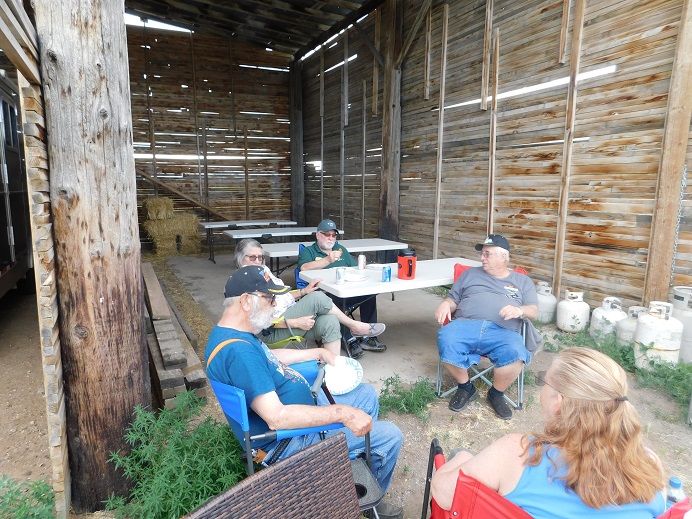 Field Day - June 2020 — photograph 26