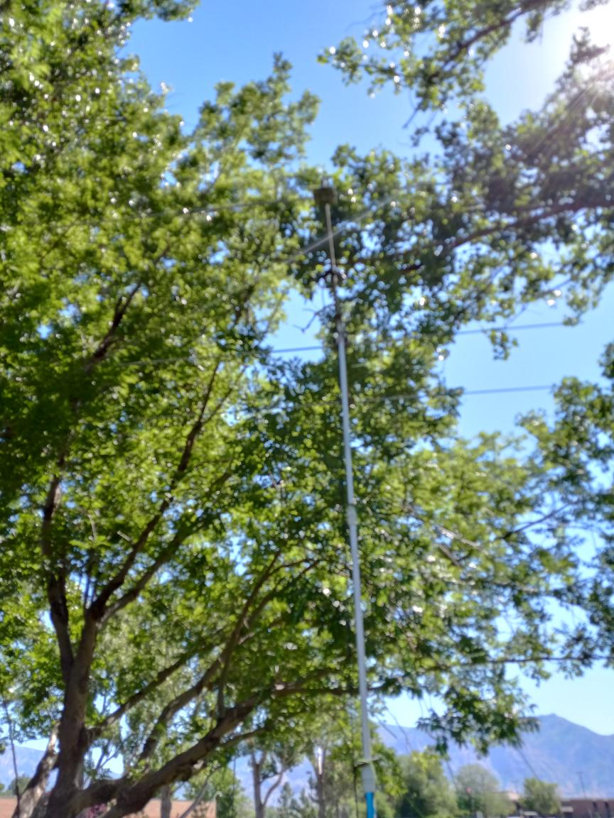 Field Day - June 2023 — photograph 45