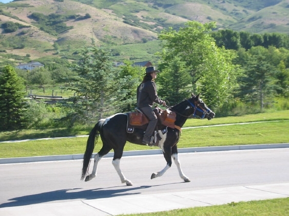 Pony Express Re-ride 2005 pics — photograph 6