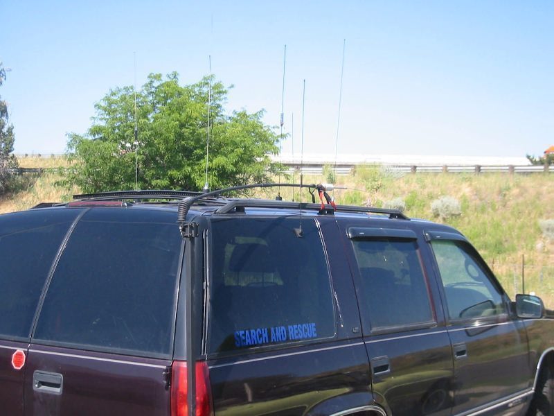 "T"-Hunt 2009 pics — photograph 7
