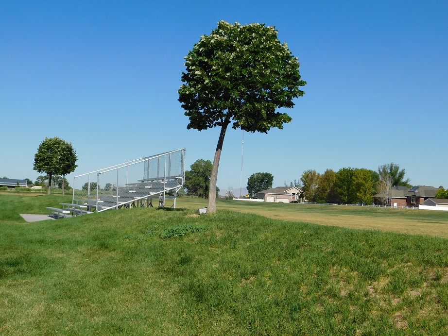 "T"-Hunt - July 2022 — photograph 3