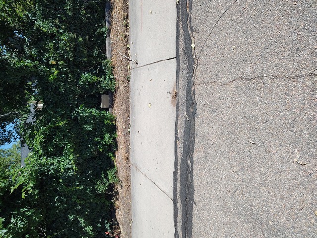 "T"-Hunt - July 2026 — photograph 2