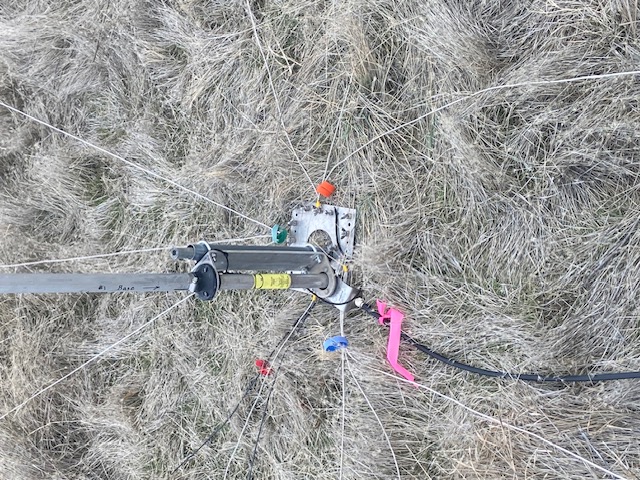 Winter Field Day - January 2025 — photograph 27