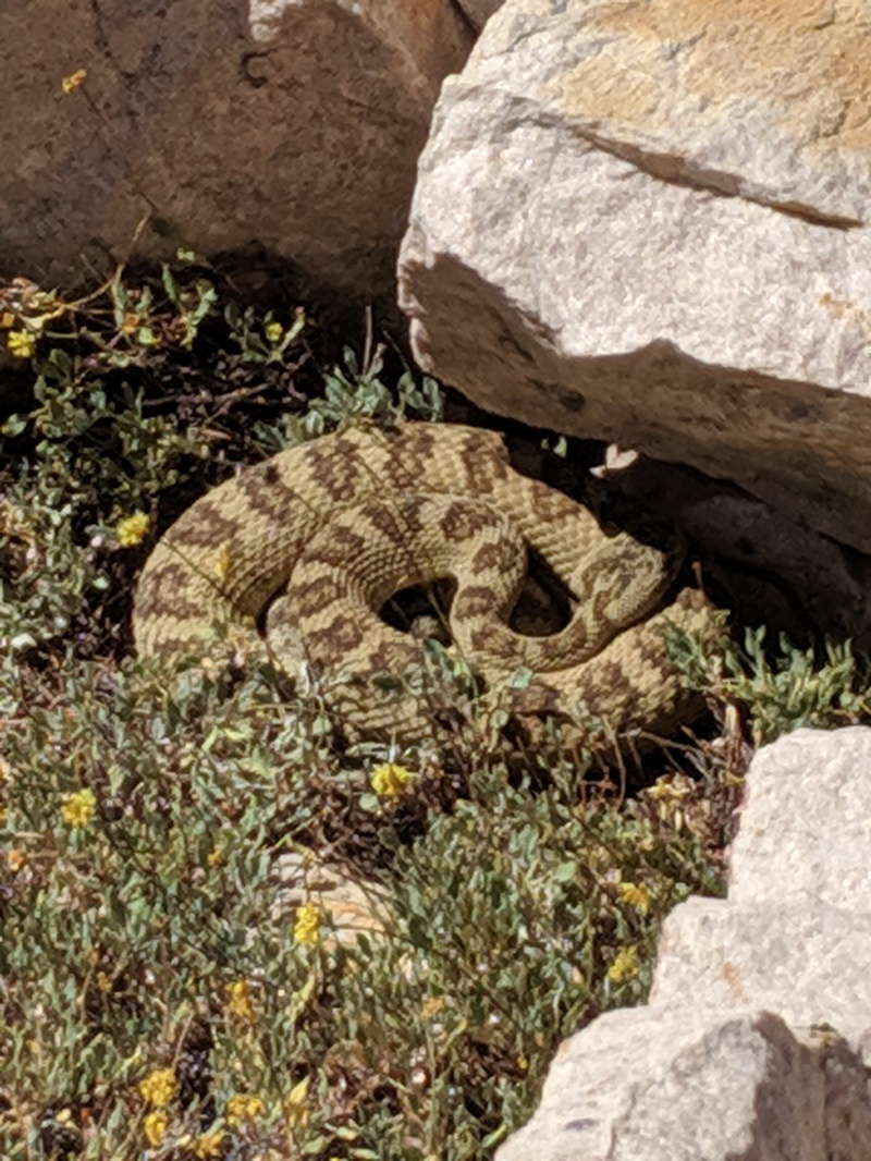 Historical Mount Ogden repeater-site photograph, 2019, 4