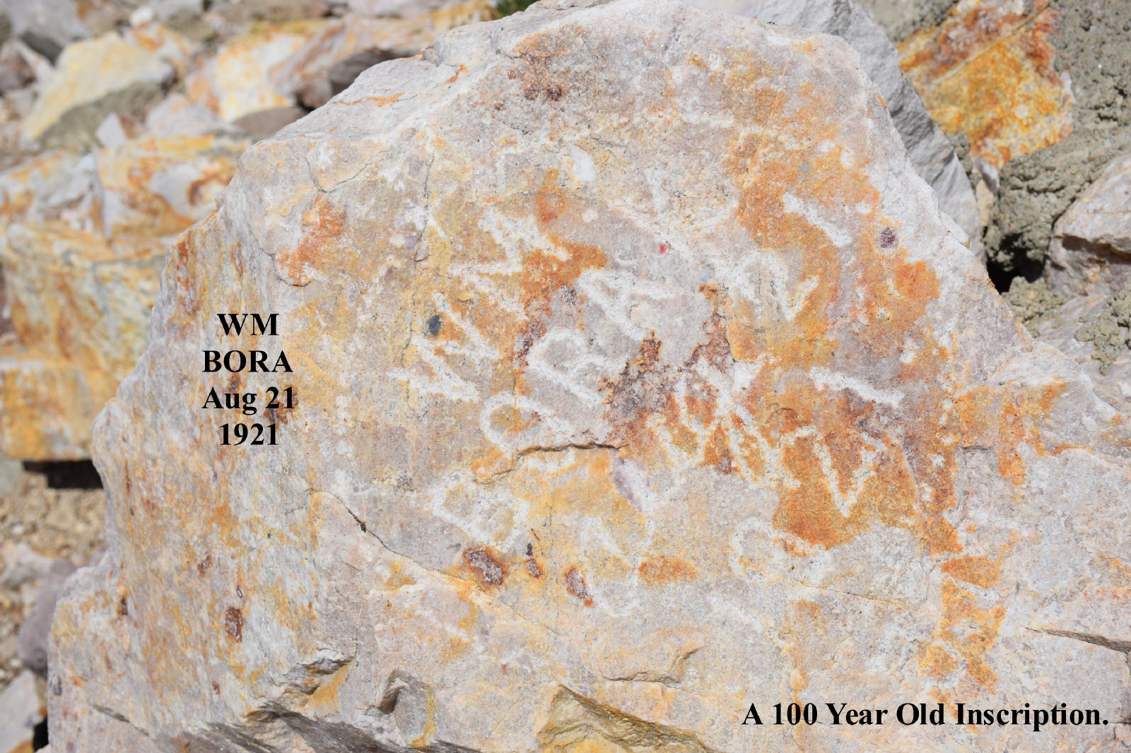 Historical Mount Ogden repeater-site photograph, 2021, 15