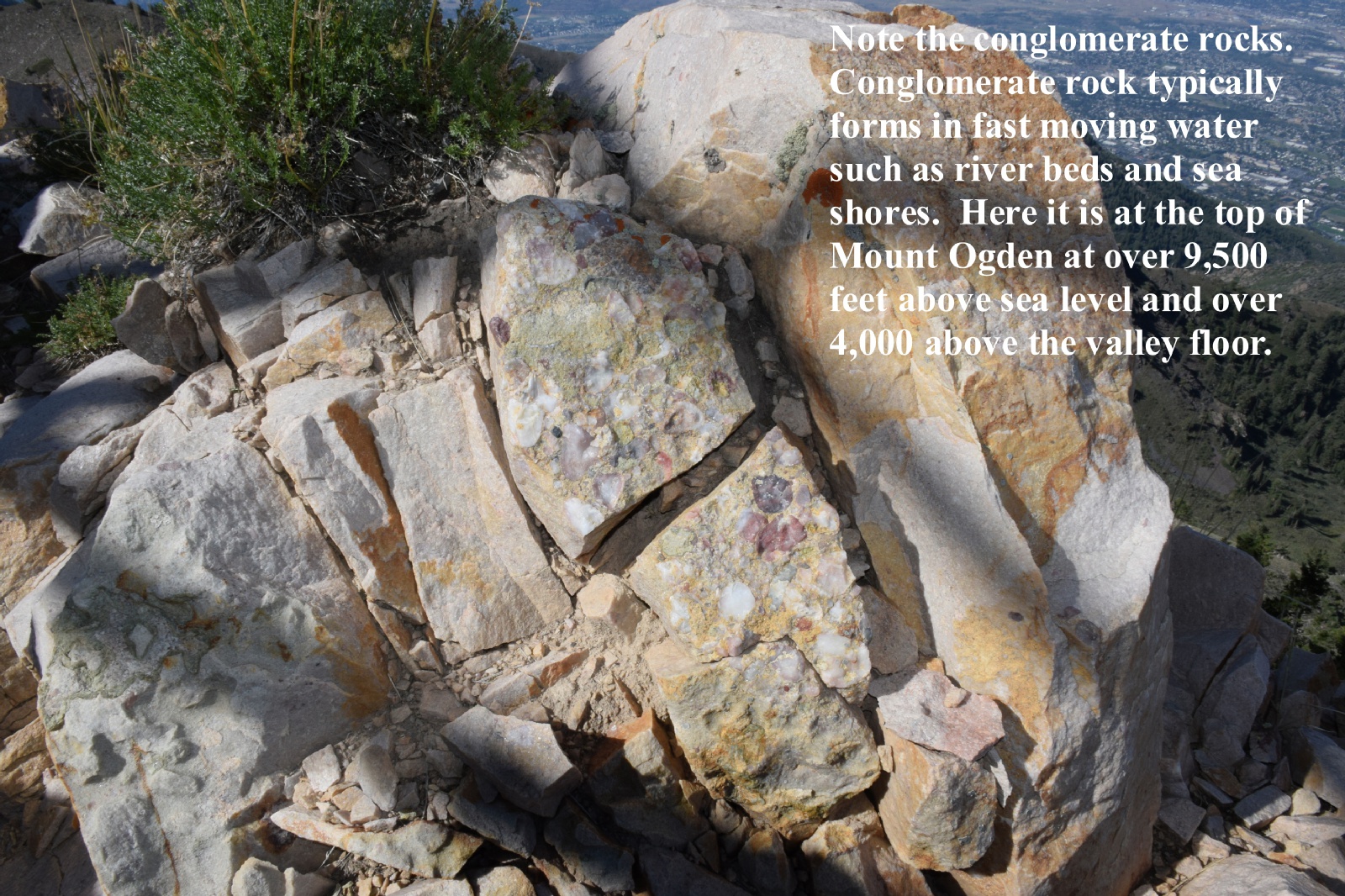 Historical Mount Ogden repeater-site photograph, 2021, 11