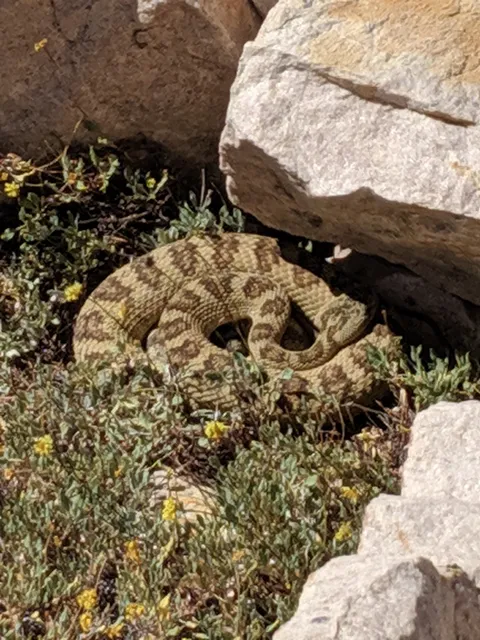 Historical Mount Ogden repeater-site photograph, 2019, 4